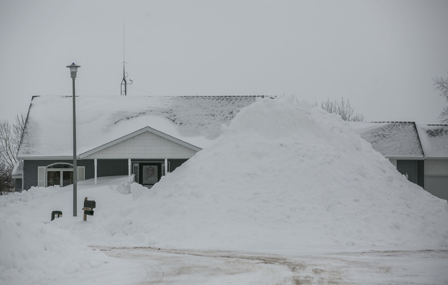 Blizzard 15